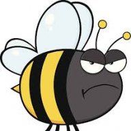 Bee66